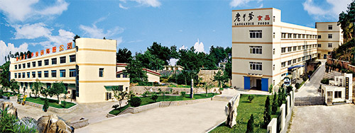 �����ϼĸ�ʳ�����޹�˾(ͼ1)