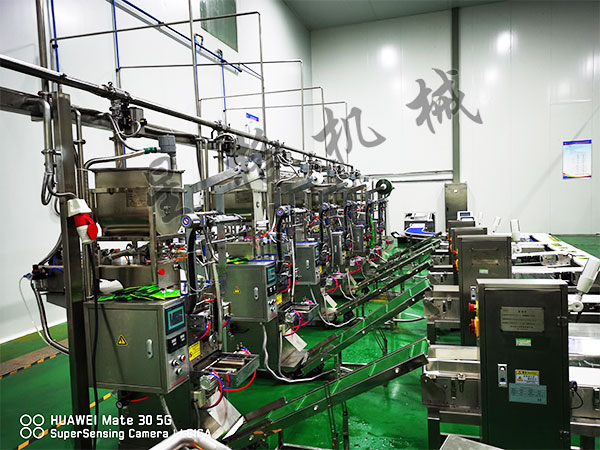 速食快餐酱料包装机械稳固性怎么样(图1) 速食快餐酱料包装机械稳固性怎么样(图1)